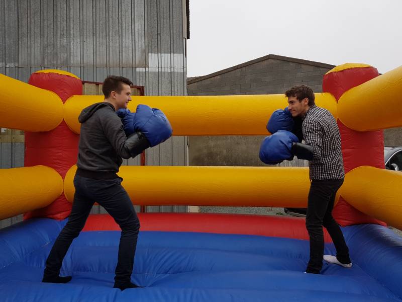 Location Structures Gonflables et Château Gonflable à ROANNE 42300 et dans la Loire 42 